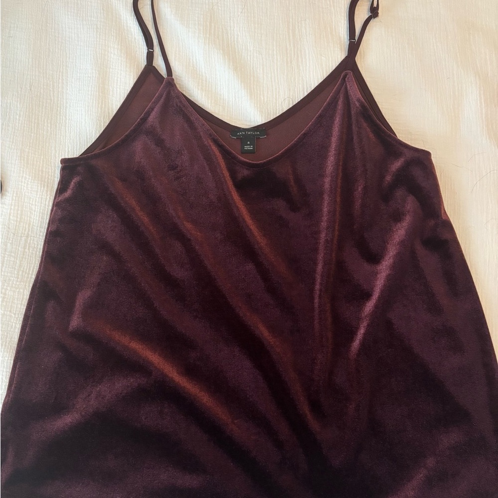 Ann Taylor Velvet Camisole in Deep Burgundy